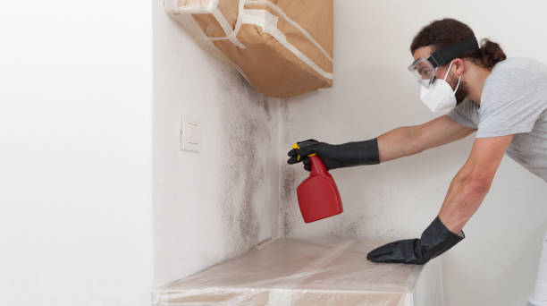 Professional Mold Remediation technician working in Worcester, MA