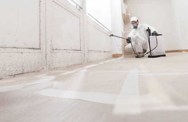 24/7 Emergency Mold Remediation experts in Worcester, MA