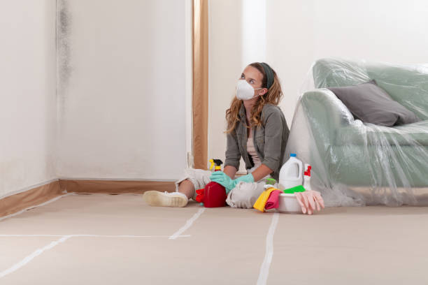 Reliable Mold Remediation contractor in Worcester, MA by 24 Hour Mold Removal